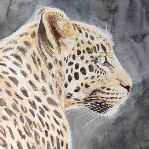 Un leopardo guapetón y filosofo