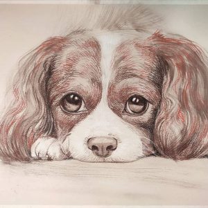 Un retrato de perrito