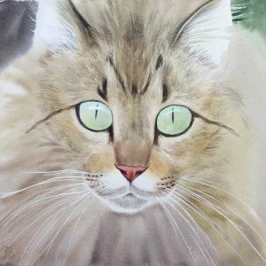 Un gato interrogando