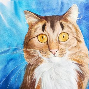 Un gatito sorprendido