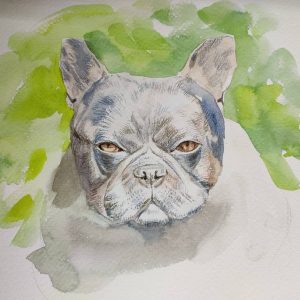 Un sketch de perrito