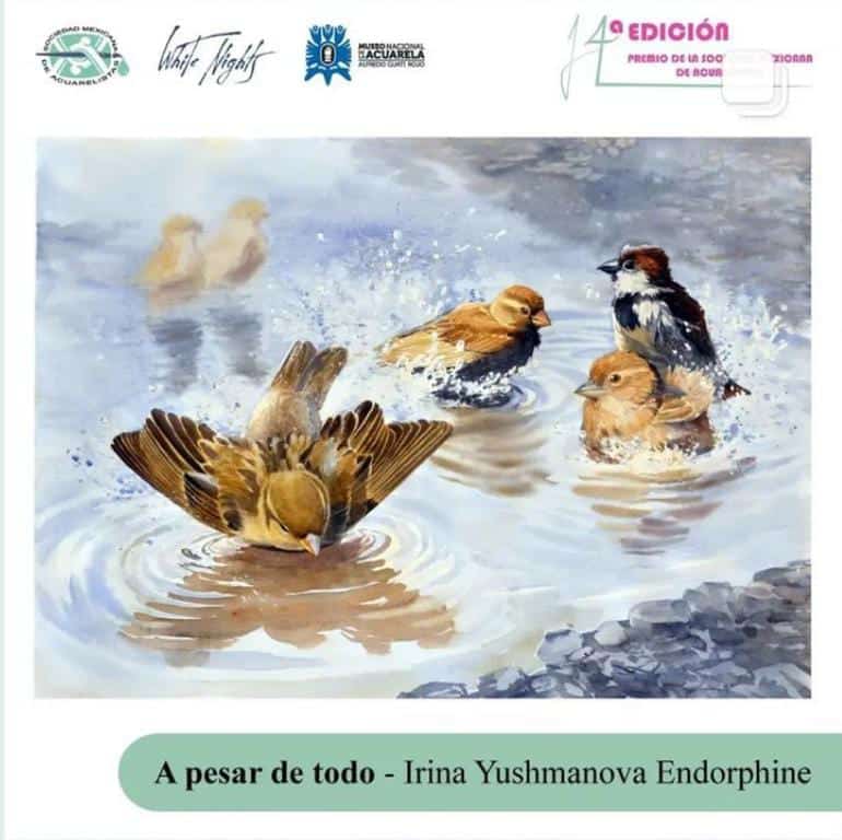 WhatsApp-Image-2022-08-17-at-16.49.44