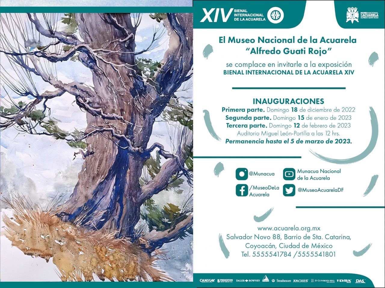 WhatsApp-Image-2023-02-10-at-12.50.09