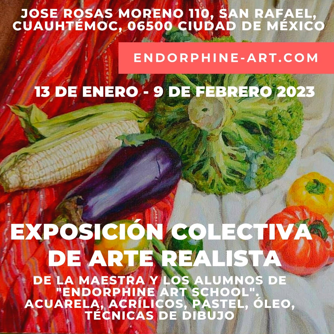 WhatsApp-Image-2023-02-10-at-13.28.22