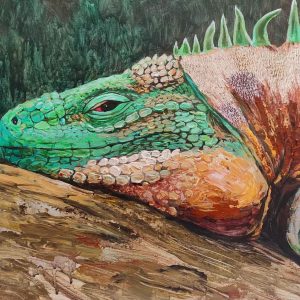 Iguana