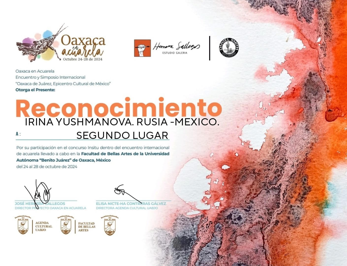 WhatsApp Image 2024-11-08 at 19.14.01