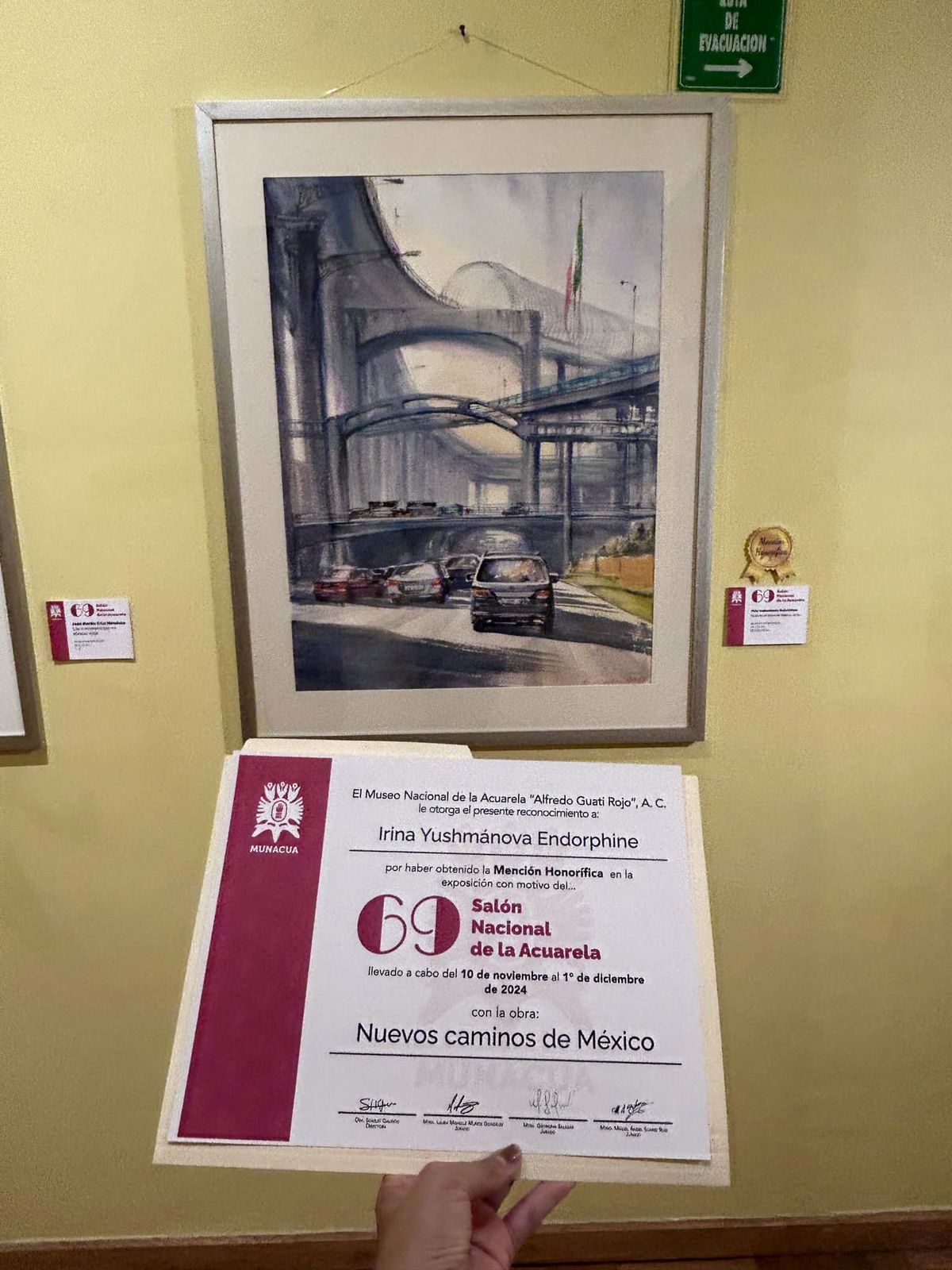 WhatsApp Image 2024-11-10 at 17.17.37